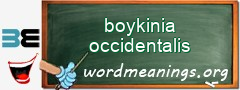 WordMeaning blackboard for boykinia occidentalis